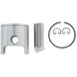 PISTON ASSY POLARIS +010