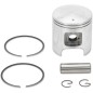 PISTON ASSY POLARIS STD.