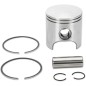 PISTON ASSY POLARIS STD.
