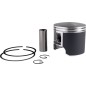PISTON ASSY POLARIS STD