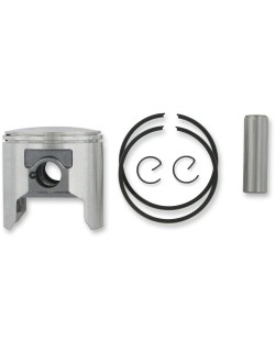PISTON ASSY ROTAX STD