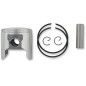 PISTON ASSY ROTAX STD