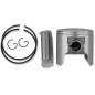 PISTON ASSY ROTAX +020