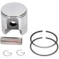 PISTON ASSY ROTAX STD