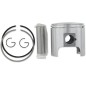 PISTON ASSY ROTAX STD