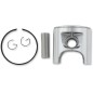 PISTON ASSY ROTAX +020
