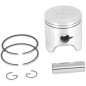 PISTON ASSY. ROTAX STD