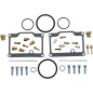 CARB REBUILD KIT ART CAT