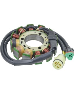 STATOR SKI DOO