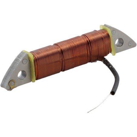 EXCITING COIL