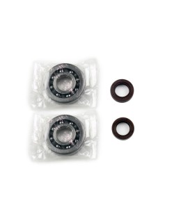 CRANKSHAFT REBUILDING KIT