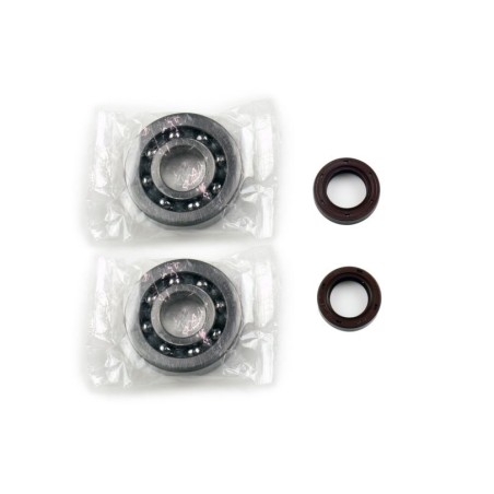 CRANKSHAFT REBUILDING KIT