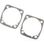 BASE GASKET EVO 1340 .020