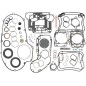 GASKET KIT 1200 EVO .040