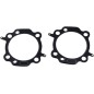 GASKET HEAD 4.000 X.030