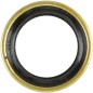 SEAL OUTPUT GEAR 12077
