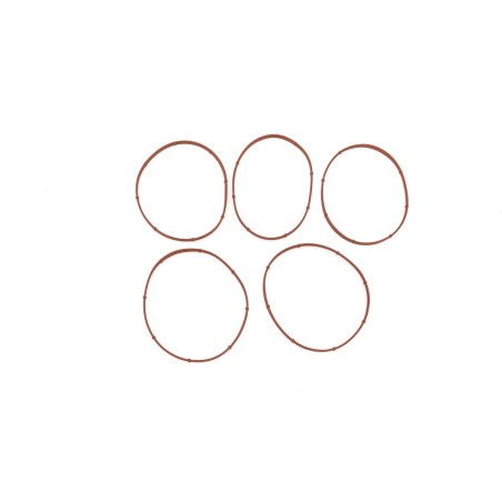 SEAL DERBY CVR 17369-06 5PK