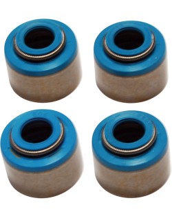 SEALS VITON VALVE 10PK