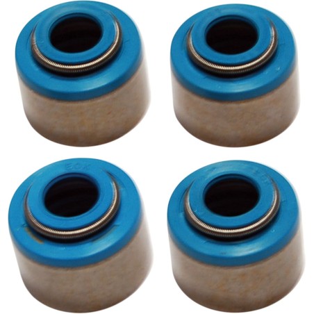 SEALS VITON VALVE 10PK