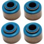 SEALS VITON VALVE 10PK