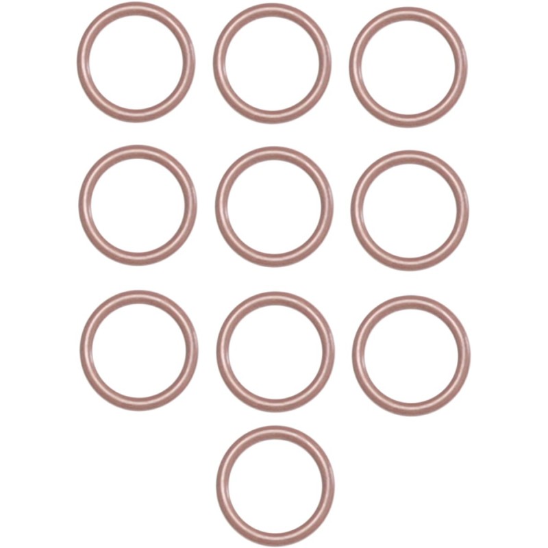 ORING DOWEL BASE 10PK