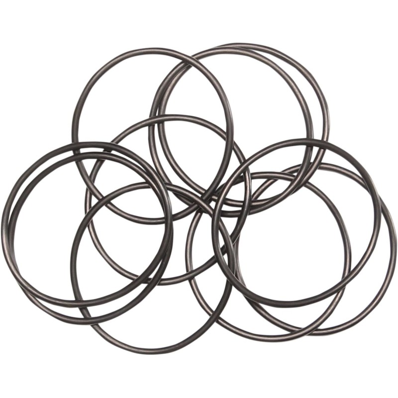 ORING OUTER OIL PUMP 10PK