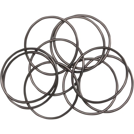 ORING OUTER OIL PUMP 10PK