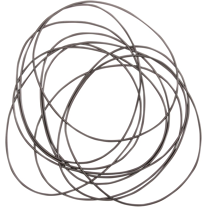 ORING PRIMARY/CASE 10PK