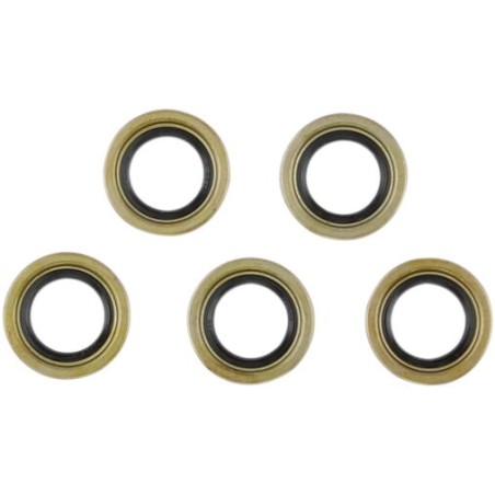 SEAL STARTER SHAFT 5PK