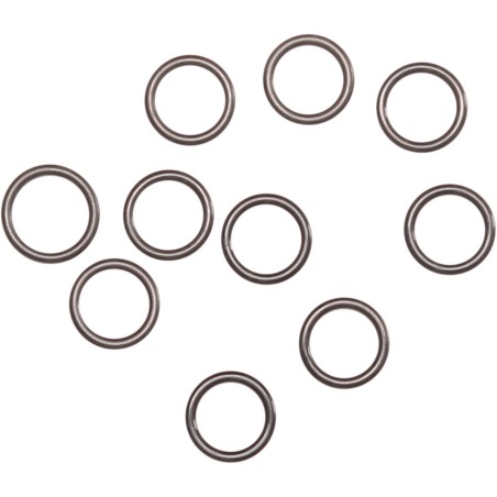 ORING CARB BCKPLT 10PK