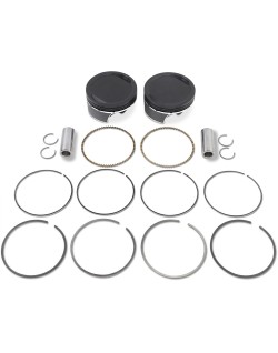 PISTON KIT 96 TO 103 .010
