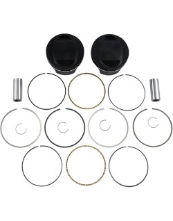 PISTON KIT 96 TO 103 .010