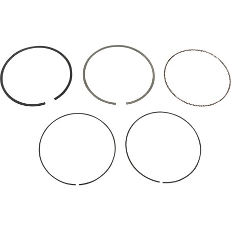 PISTON RING VM 3.895/.020