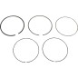 PISTON RING VM 3.895/.020