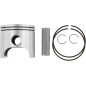 WISECO PISTON POL