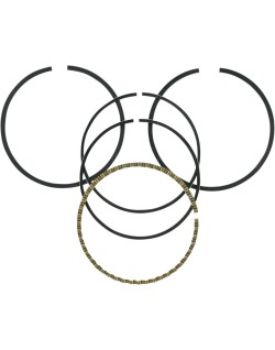 RING SET 020 84-99 EVO BT