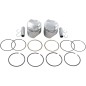 PISTON KIT .040 72-85 XL