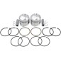 PISTON KIT .010 48-80 BT