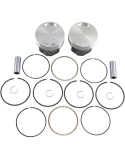 PISTON KIT .010 EVO BT