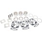 WISECO PISTON KIT POL