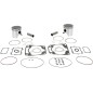 WISECO PISTON KIT ARCTIC