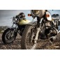 BT 46 F 3.25-19 54HTL