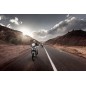 A41 120/70R19 60V TL