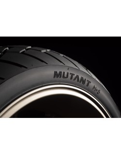 MUT 150/60ZR17 (66W) M&S