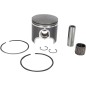 PISTON KIT CAST POLARIS