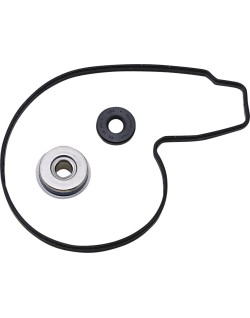 PUMP WATER REPAIR KIT