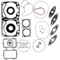 GASKET SET COMP A-CAT