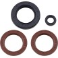 OIL SEAL 900 ACE