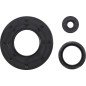 OIL SEAL SKI DOO