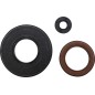 OIL SEAL POLARIS